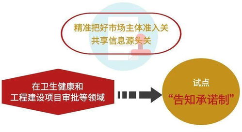 成风破浪，华彩纷呈 2020成华区营商环境建设改革成效之政务服务篇
